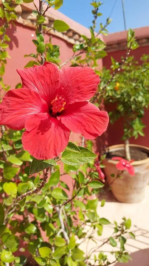 Riad Dar Karam Marrakesh Morocco